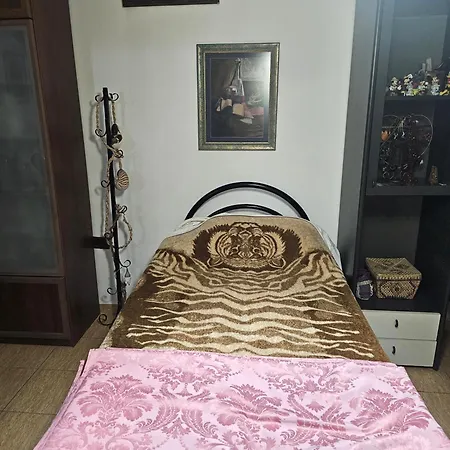 2-bedroom With Dajti Mountain View * Tirana